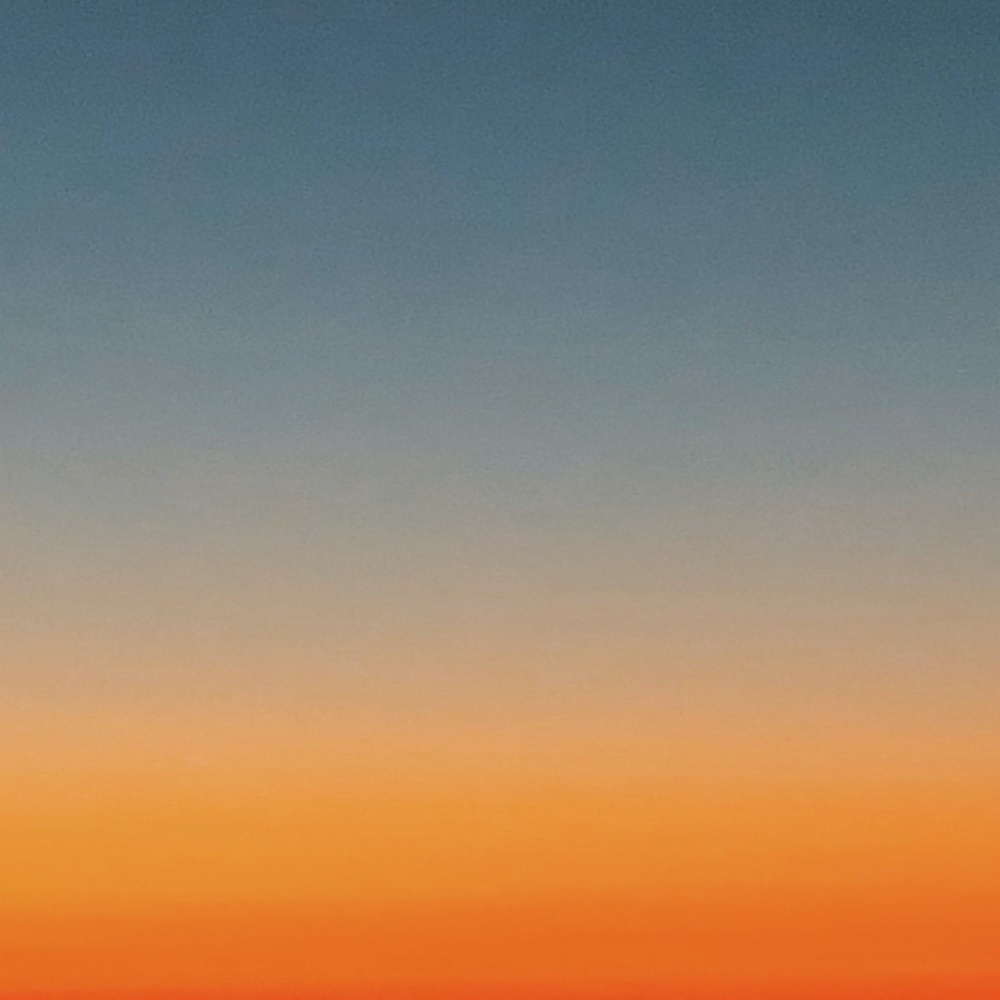 Meet your Posher, Lilly